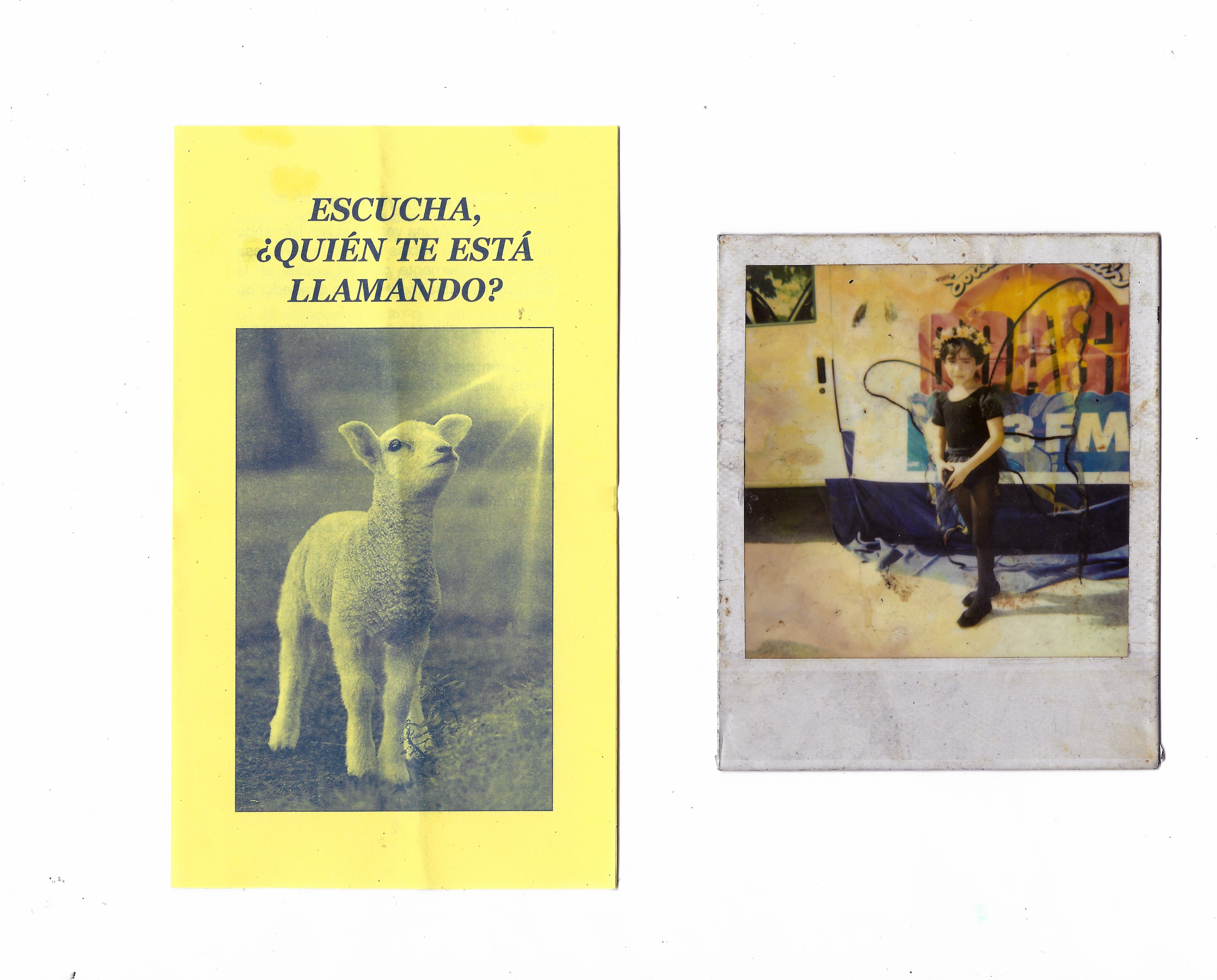 scan collage